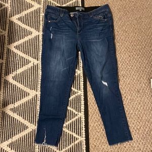 Plus Size Wit and Wisdom Jeans